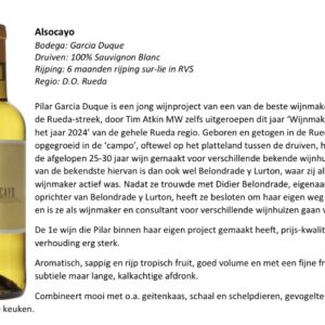 Wijn (wit) - Alsocayo Sauvignon Blanc