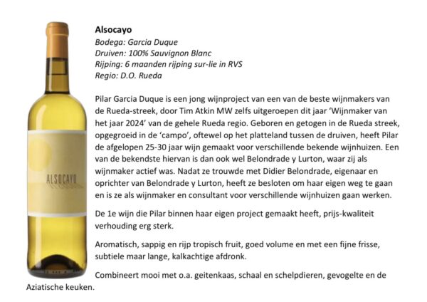 Wijn (wit) - Alsocayo Sauvignon Blanc